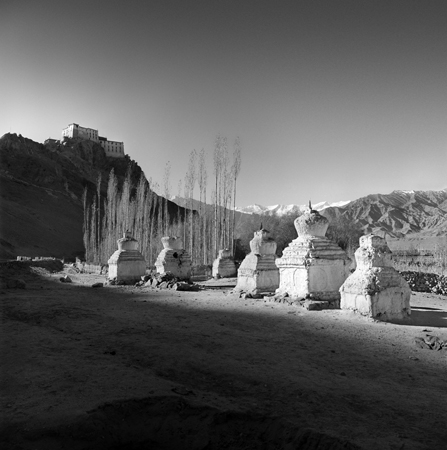 Rahul Ranadive — photograph 2
