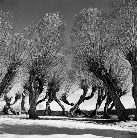 Rahul Ranadive — photograph 9