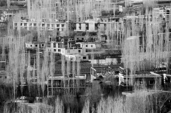 Rahul Ranadive — photograph 21
