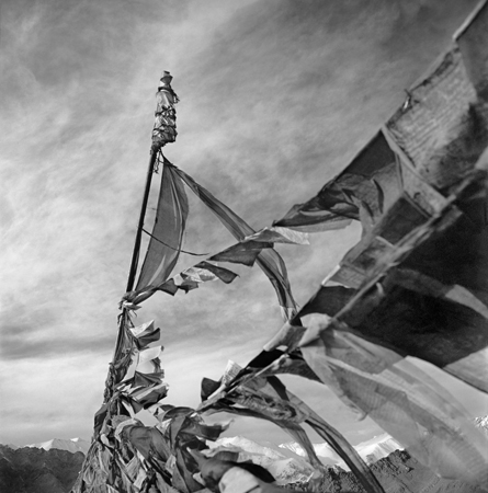 Rahul Ranadive — photograph 8